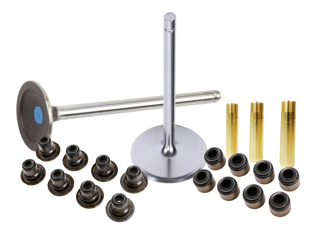 GM Cylinder Heads, Parts & Services - Valves, Seals & Guides