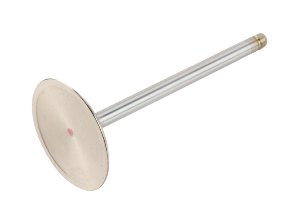 GM Genuine Parts GM LS3 Intake Valve