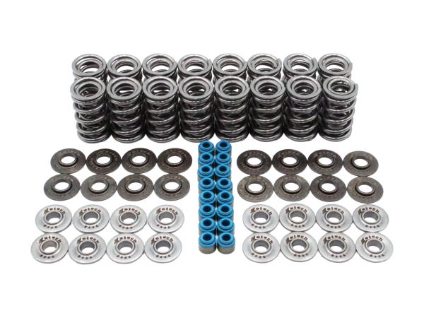 Katech LS .680 Lift  Tool Steel Dual Valve Spring Kit 