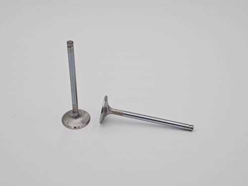 LS2 Upgraded Size Replacement Exhaust Valve - Individual
