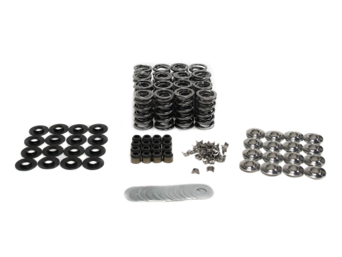 BTR Platinum LT1 .660 Lift Dual Valve Spring Kit