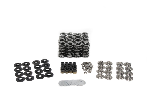 BTR LT4 .660 Lift  Dual Valve Spring Kit - Stock Guides