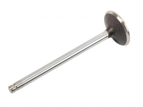 GM Genuine Parts LT1 & LT4 Exhaust Valve