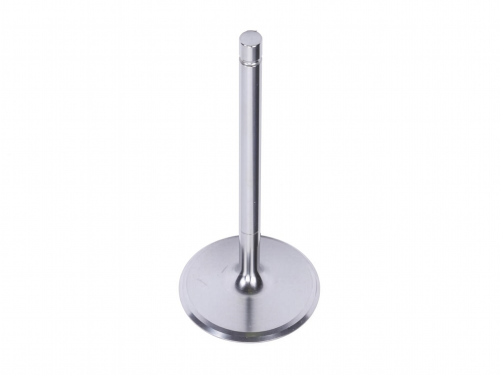 GM Genuine Parts  LT4 & LT5 Titanium Intake Valve