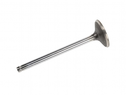GM Genuine Parts Engine Exhaust Valve