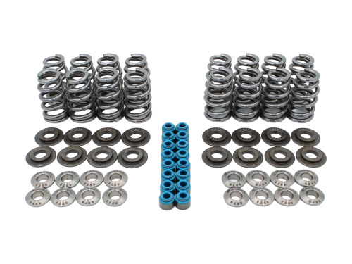 Katech LS .650 Lift Beehive Titanium Valve Spring Kit 