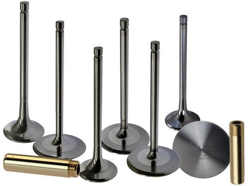 Intake & Exhaust Valves